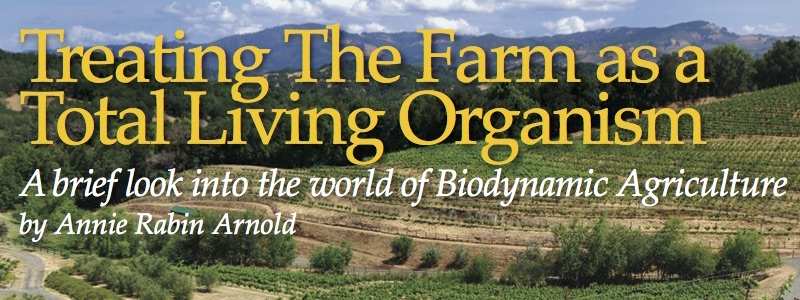 Biodynamic Article image